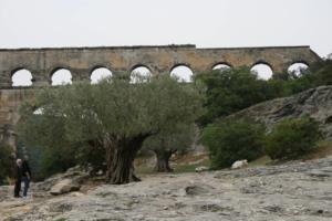 Pont du Gard 02